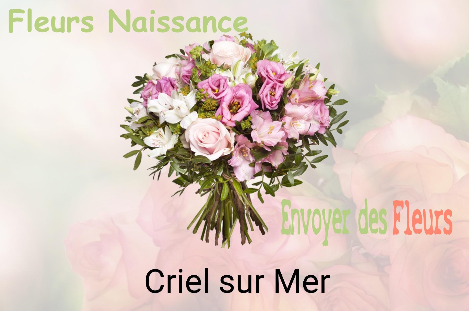 Bouquet de fleurs de naissance livré à Criel-sur-Mer