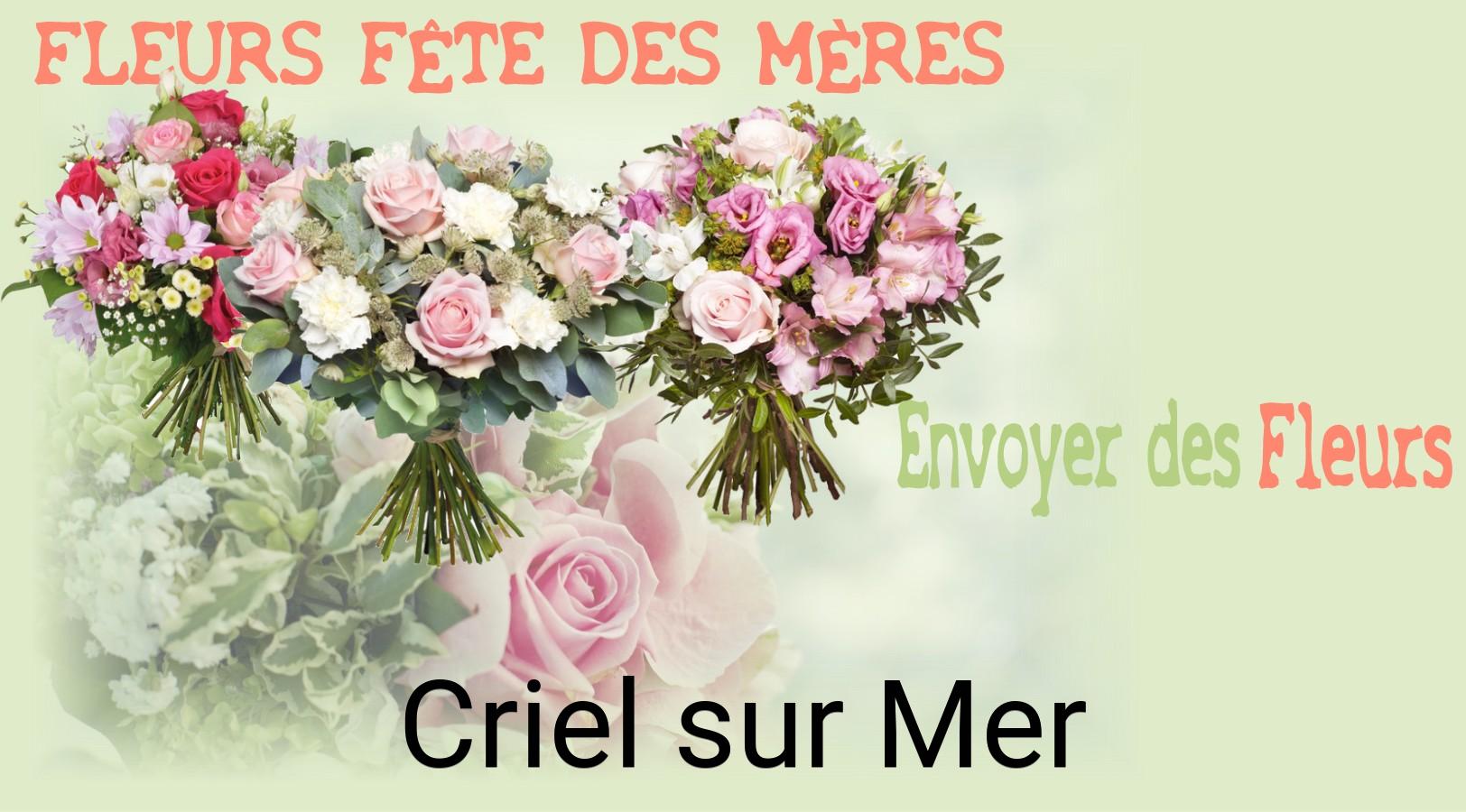 Bouquet de Fête des Mères livré à Criel-sur-Mer